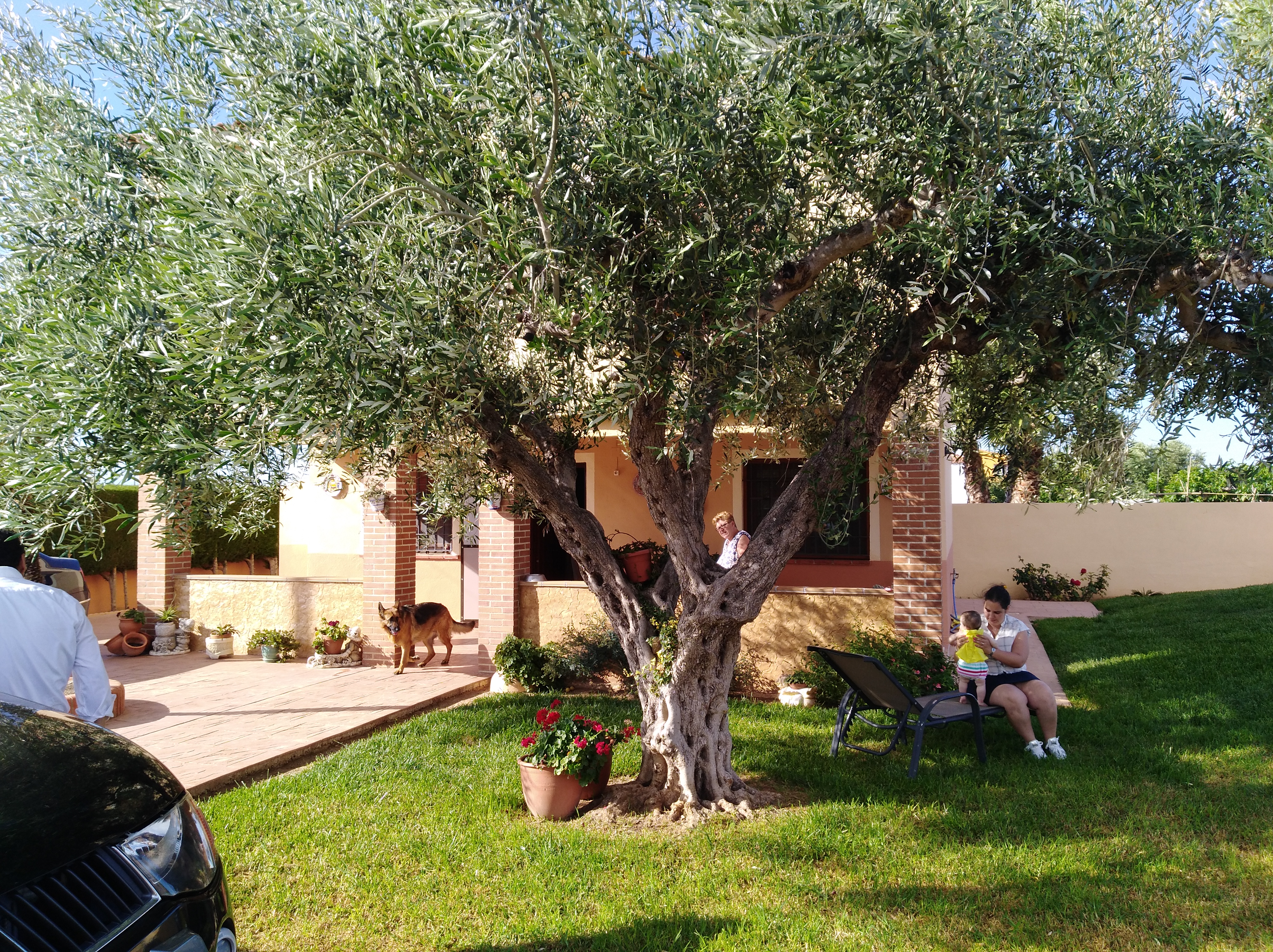 SE VENDE Chalet individual con piscina en Benicarló.